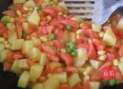 茄汁黄豆牛腩的做法图解8