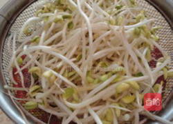 红烧豆芽的做法图解1