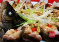 孔雀开屏的做法图解7