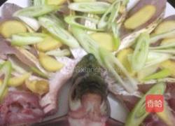 孔雀开屏的做法图解5