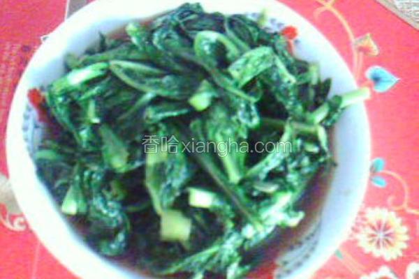 鲜蚝生菜