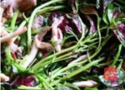 苋菜鲜蘑的做法图解6