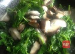 香菇豌豆尖的做法图解3