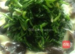 香菇豌豆尖的做法图解4