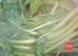 耗油菜心的做法图解4