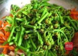 新鲜蕨菜的做法图解4