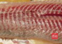 椒盐煎草鱼的做法图解1