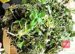 荠菜猪肉锅贴的做法图解1