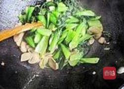 椒油口蘑小油菜的做法图解10