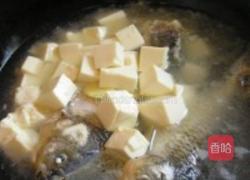 鲫鱼豆腐汤的做法图解4
