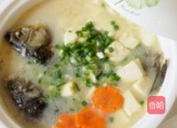 鲫鱼豆腐汤的做法图解7