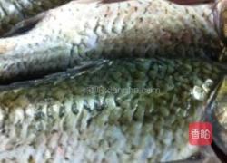 四川特色鲫鱼的做法图解1