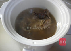 灵芝花胶煲斑鸠的做法图解6
