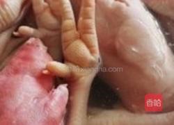 猪蹄子鸡爪的做法图解1