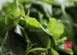 枸杞绿米苋的做法图解1