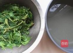 自制香椿酱的做法图解1
