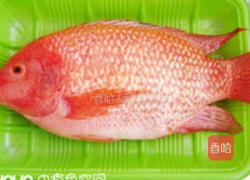 加吉鱼汤的做法图解1