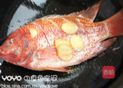 加吉鱼汤的做法图解3