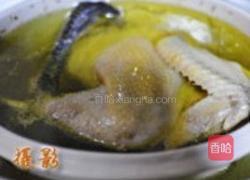 肥西老母鸡汤的做法图解5