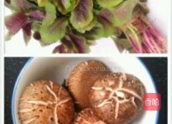 苋菜香菇面的做法图解1