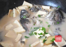 鲫鱼豆腐汤的做法图解7