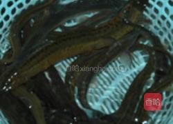沙锅泥鳅的做法图解1
