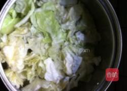 爽口包菜的做法图解3