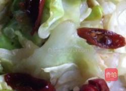 爽口包菜的做法图解6