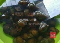 酸笋田螺煲的做法图解2