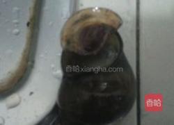 酸笋田螺煲的做法图解8