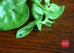 姜丝穿心莲的做法图解1