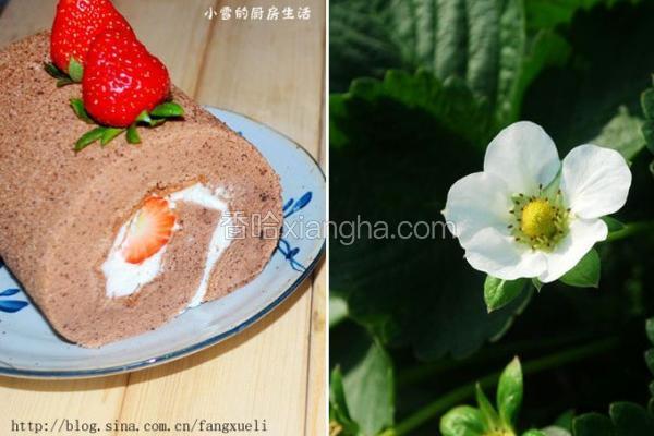 可可奶油草莓蛋糕卷】的做法