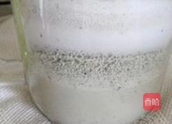 黑豆豆浆的做法图解4