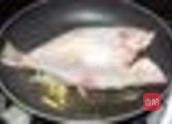 煎封鲈鱼的做法图解3