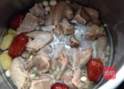 鸽子煲的做法图解3