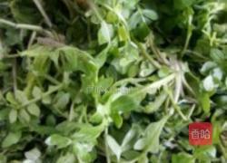 荠菜小煎包的做法图解1