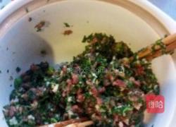 荠菜猪肉生煎包的做法图解3