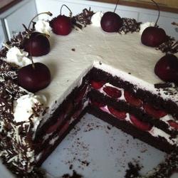 黑森林 （Schwarzwald-cake）的做法[图]