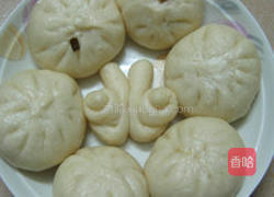 萝卜丝虾米鲜肉包的做法图解8