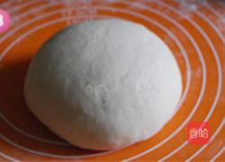 茴香大包的做法图解8