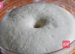 茴香大包的做法图解6