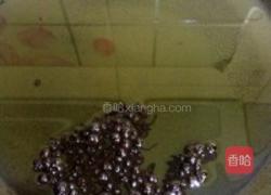 苜蓿肉饺子的做法图解4