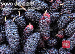 桑葚优格的做法图解1