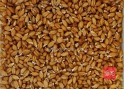 小麦草杨桃汁的做法图解2