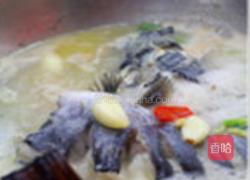大蒜泡椒焖鲇鱼的做法图解4