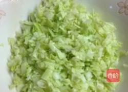 土豆泥卷心菜洋葱培根春卷饼的做法图解2