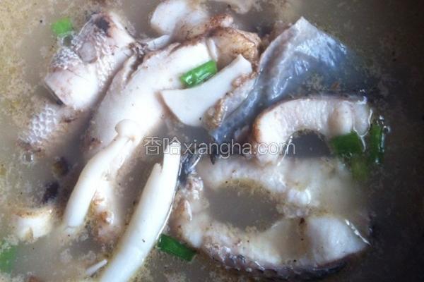 鲜菇鱼汤