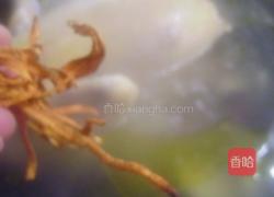 虫草花炖土鸡的做法图解6