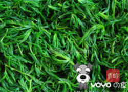 碱蓬菜水饺的做法图解1