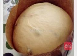 天然酵种潘妮托妮（panettone)的做法图解4